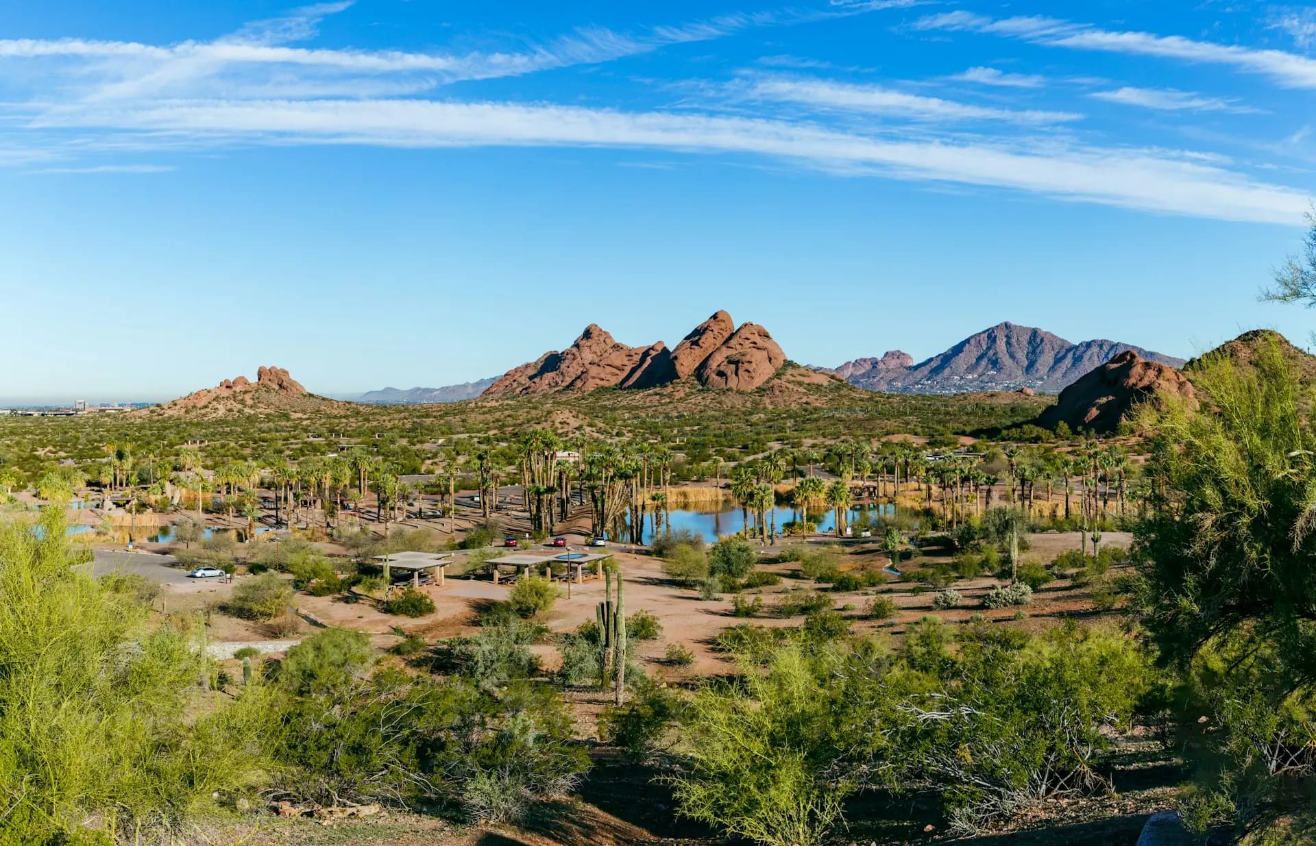 Phoenix